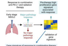 遗传特征可以预测非小细胞肺癌免疫治疗的反应