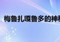 梅鲁扎嘎鲁多的神秘面纱：探索未知的世界