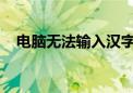 电脑无法输入汉字的原因分析及解决指南