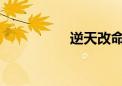 逆天改命之叶知秋传奇