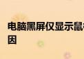 电脑黑屏仅显示鼠标箭头：解决方法和可能原因