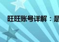 旺旺账号详解：是什么、功能及如何操作